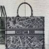 Large Dior Book Tote Paris map