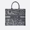 Large Dior Book Tote Paris map