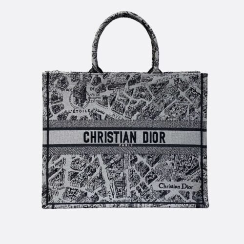 Large Dior Book Tote Paris map