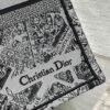 Large Dior Book Tote Paris map