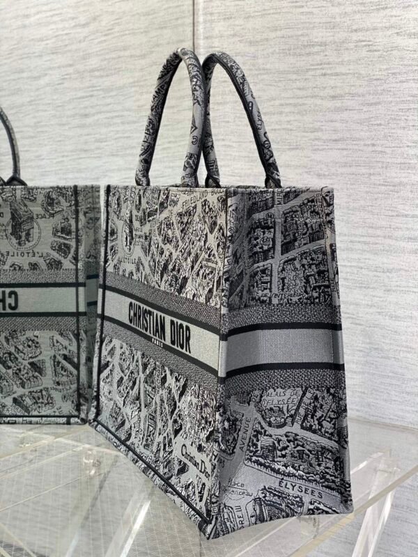 Large Dior Book Tote Paris map