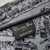 Large Dior Book Tote Paris map