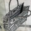 Large Dior Book Tote Paris map