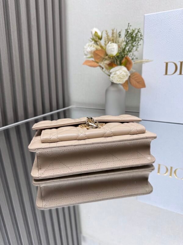My Dior Daily Pouch with Chain Apricot color