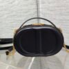 Dior CD Signature Oval Camera Bag