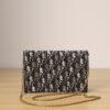 Medium Saddle Pouch with Chain