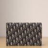 Medium Saddle Pouch with Chain