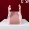 Dior Small Signature Bucket Bag Pink