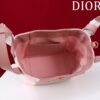 Dior Small Signature Bucket Bag Pink