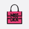 Small Dior Book Tote