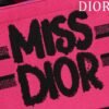 Small Dior Book Tote