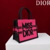 Small Dior Book Tote