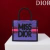 Small Dior Book Tote