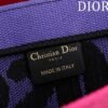 Small Dior Book Tote
