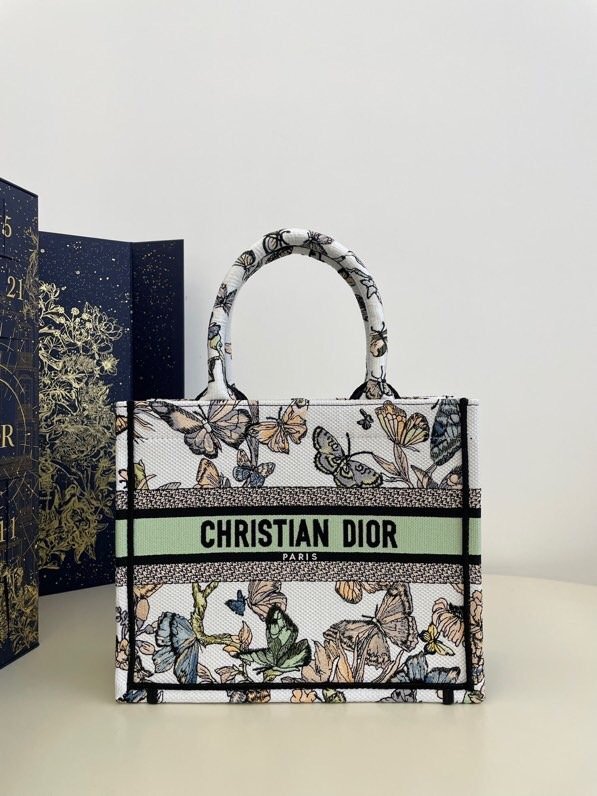 Small Dior Book Tote