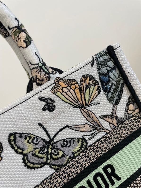 Small Dior Book Tote