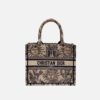 Small Dior Book Tote