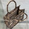 Small Dior Book Tote