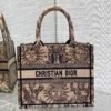 Small Dior Book Tote