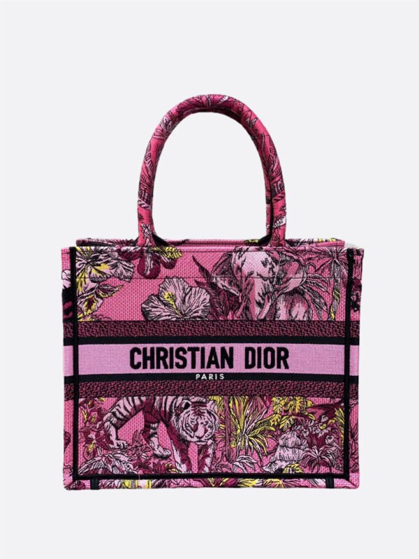 Small Dior Book Tote
