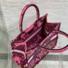 Small Dior Book Tote