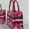 Small Dior Book Tote