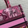 Small Dior Book Tote