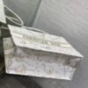 Medium Dior Book Tote Golden Butterfly