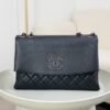 Chanel A07095 Beige Flap Chain Shoulder Bag and Crossbody Bag