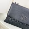 Chanel A07095 Beige Flap Chain Shoulder Bag and Crossbody Bag