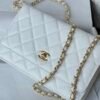 Chanel Chanel Classic Quilted WOC Wallet Crossbody Bag White in Leather Grained cowhide