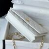 Chanel Chanel Classic Quilted WOC Wallet Crossbody Bag White in Leather Grained cowhide