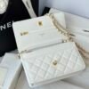Chanel Chanel Classic Quilted WOC Wallet Crossbody Bag White in Leather Grained cowhide