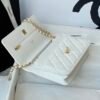 Chanel Chanel Classic Quilted WOC Wallet Crossbody Bag White in Leather Grained cowhide