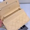 Chanel Chanel Classic Quilted WOC Wallet Crossbody Bag Beige in Leather Grained cowhide