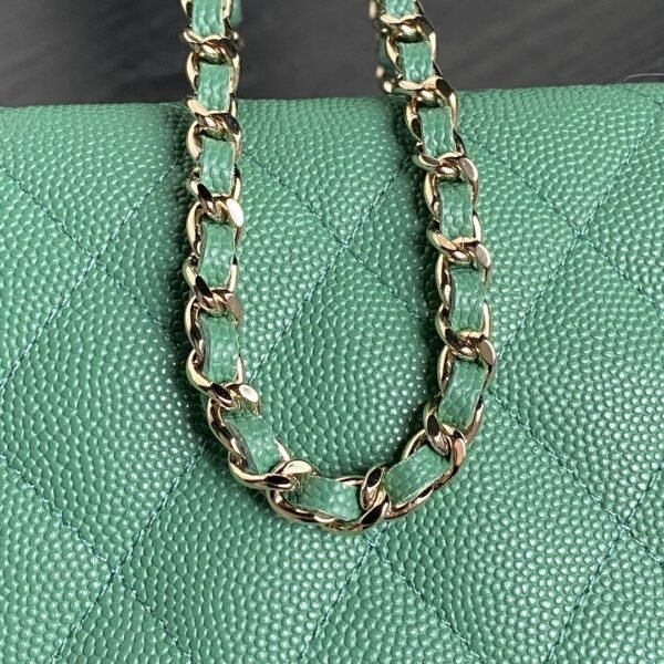 Brand New Chanel 25c Hobo Bag