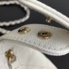 Brand New Chanel 25c Hobo Bag