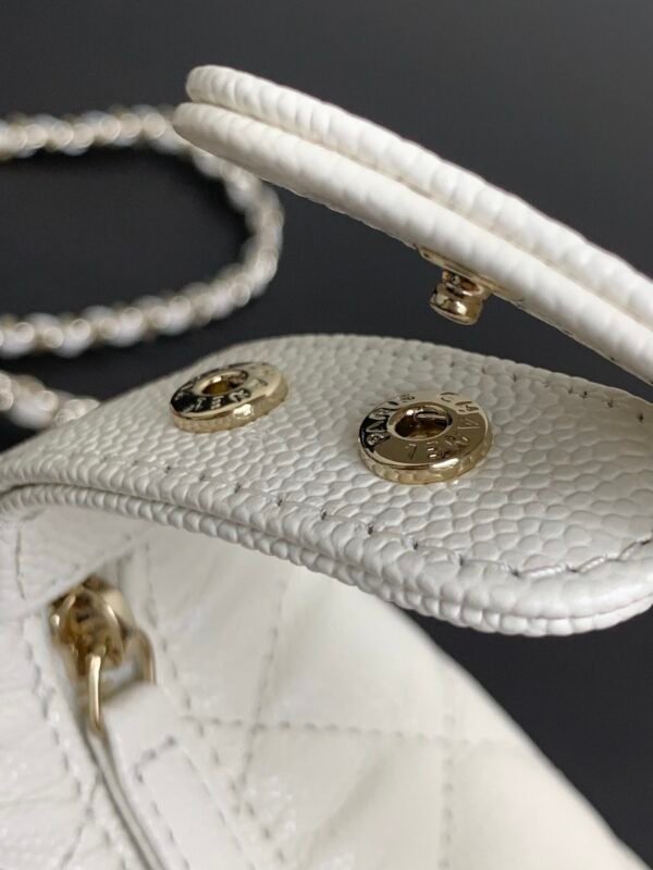 Brand New Chanel 25c Hobo Bag