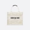 Small Dior Book Tote