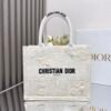 Small Dior Book Tote
