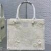 Small Dior Book Tote