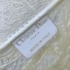 Small Dior Book Tote