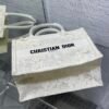 Small Dior Book Tote