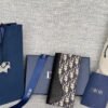 Dior Saddle Long Vertical Wallet