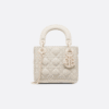 Mini Lady Dior Bag