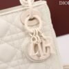 Mini Lady Dior Bag