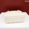 Mini Lady Dior Bag