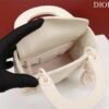Mini Lady Dior Bag