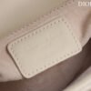 Mini Lady Dior Bag