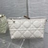 Medium DiorTravel Nomad Clutch